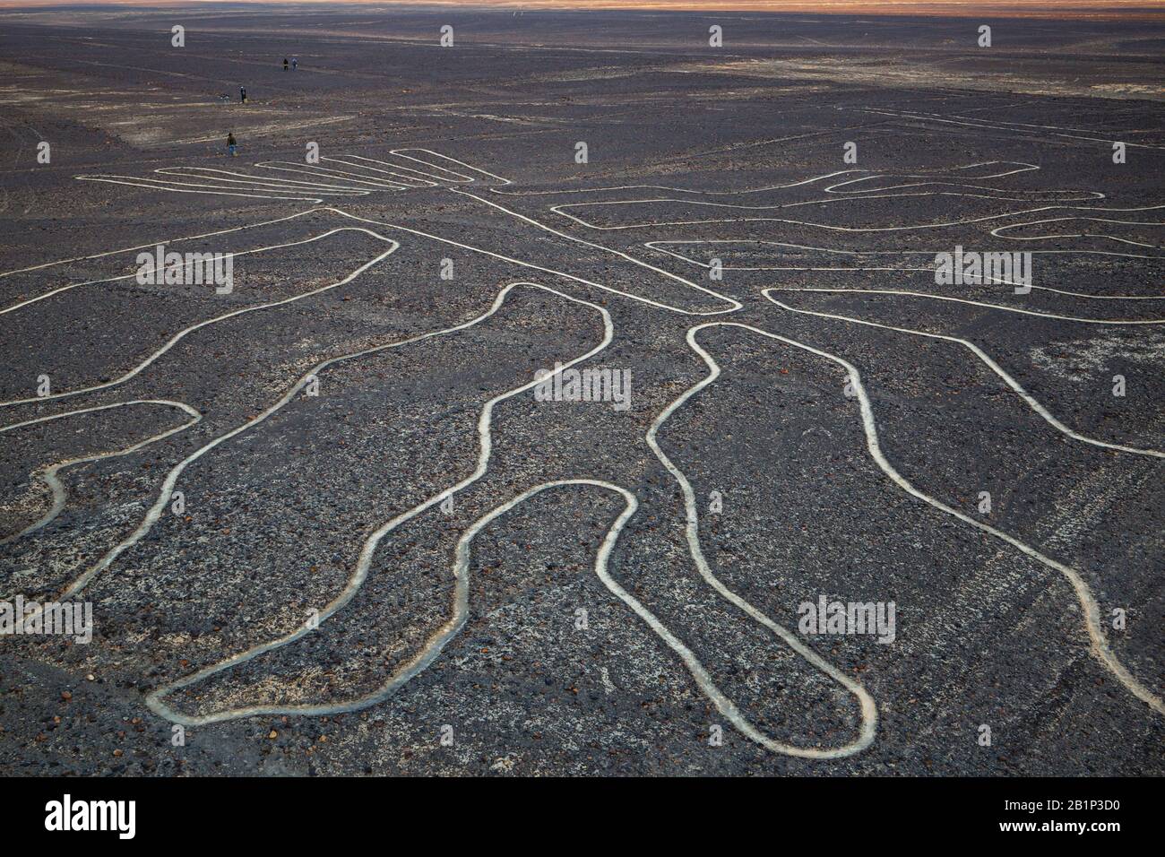 Wunderbare Geoglyphen und Linien der alten Inka in Nazca. Berühmter touristischer Ort in Peru. Stockfoto