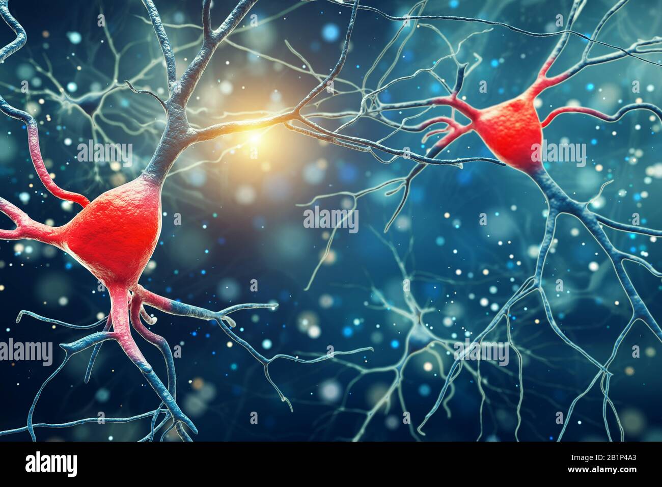 3D-Abbildung der Struktur der menschlichen Gehirnneurone. Eine hohe Auflösung. Stockfoto