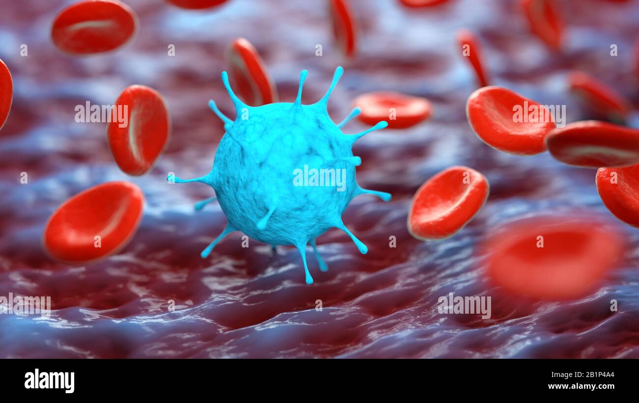 3D-Darstellung eines Virus im Blutsystem. Virusepidemie, Infektion, konzeptionelles Bild. Stockfoto