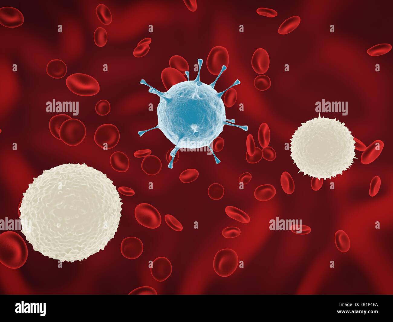 Gesunde menschliche rote und weiße Blutkörperchen in Nahaufnahme. Weiße Blutzellen bekämpfen die Bakterien. 3D-Grafik rendern. Stockfoto