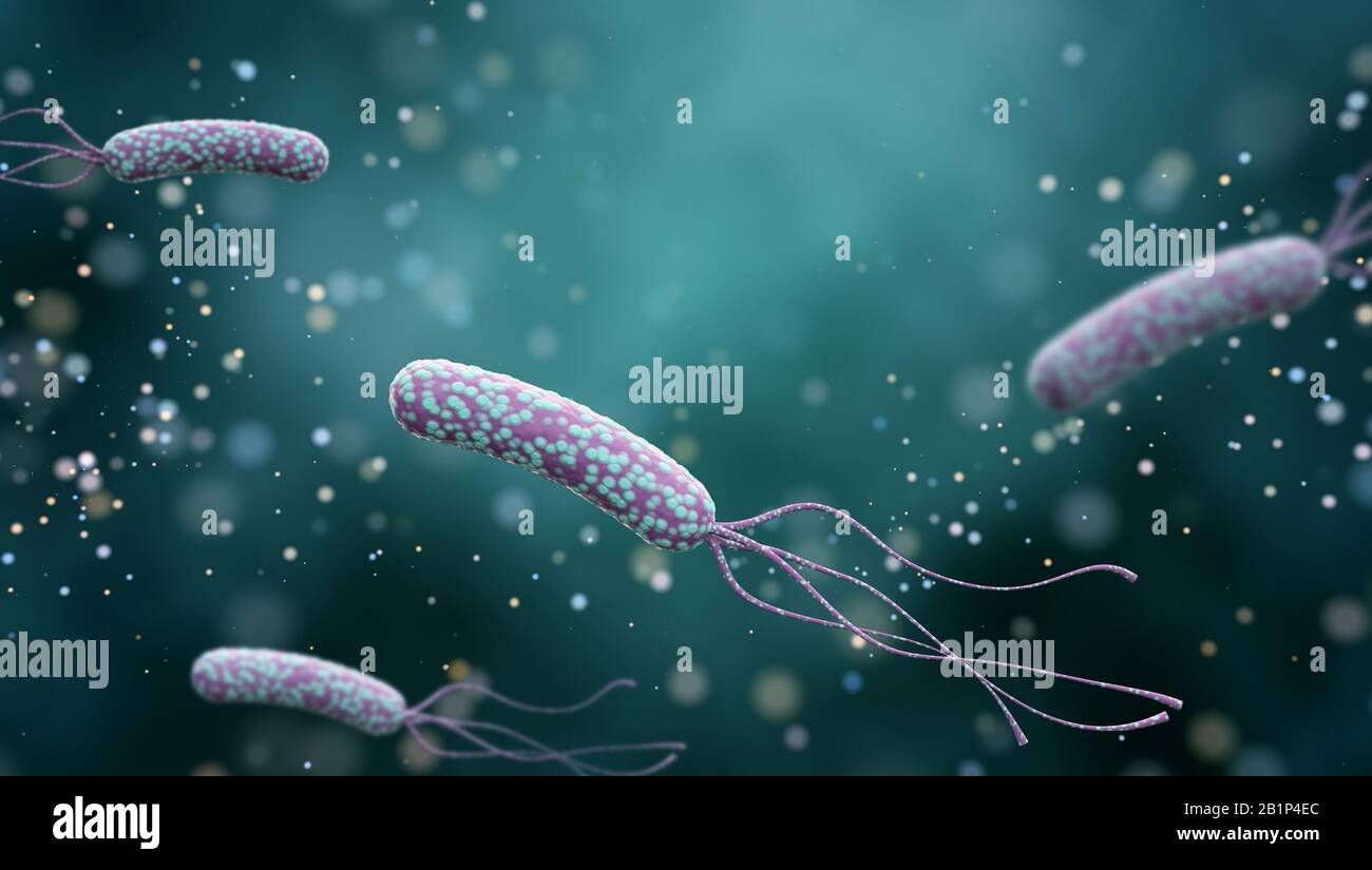 Abbildung: Helicobacter Pylori-Bakterien auf abstraktem Farbhintergrund. Medizinisches Konzept. 3 D rendern. Stockfoto