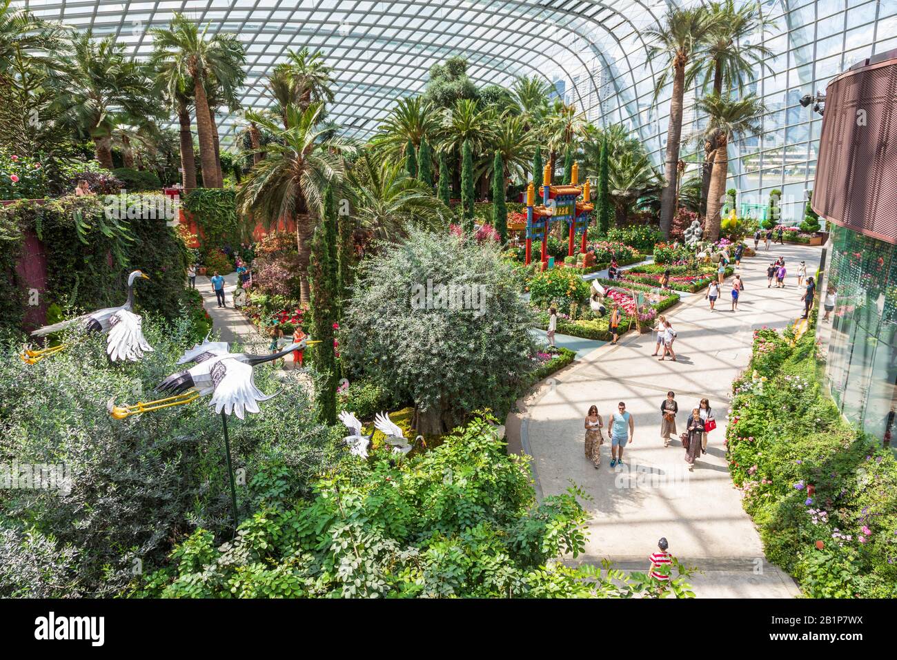 Blumendarstellung im kühleren Wintergarten der Gärten an der Bucht, Singapur, Asien Stockfoto