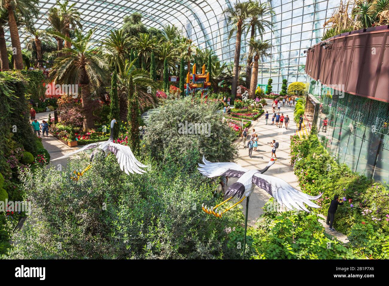 Blumendarstellung im kühleren Wintergarten der Gärten an der Bucht, Singapur, Asien Stockfoto