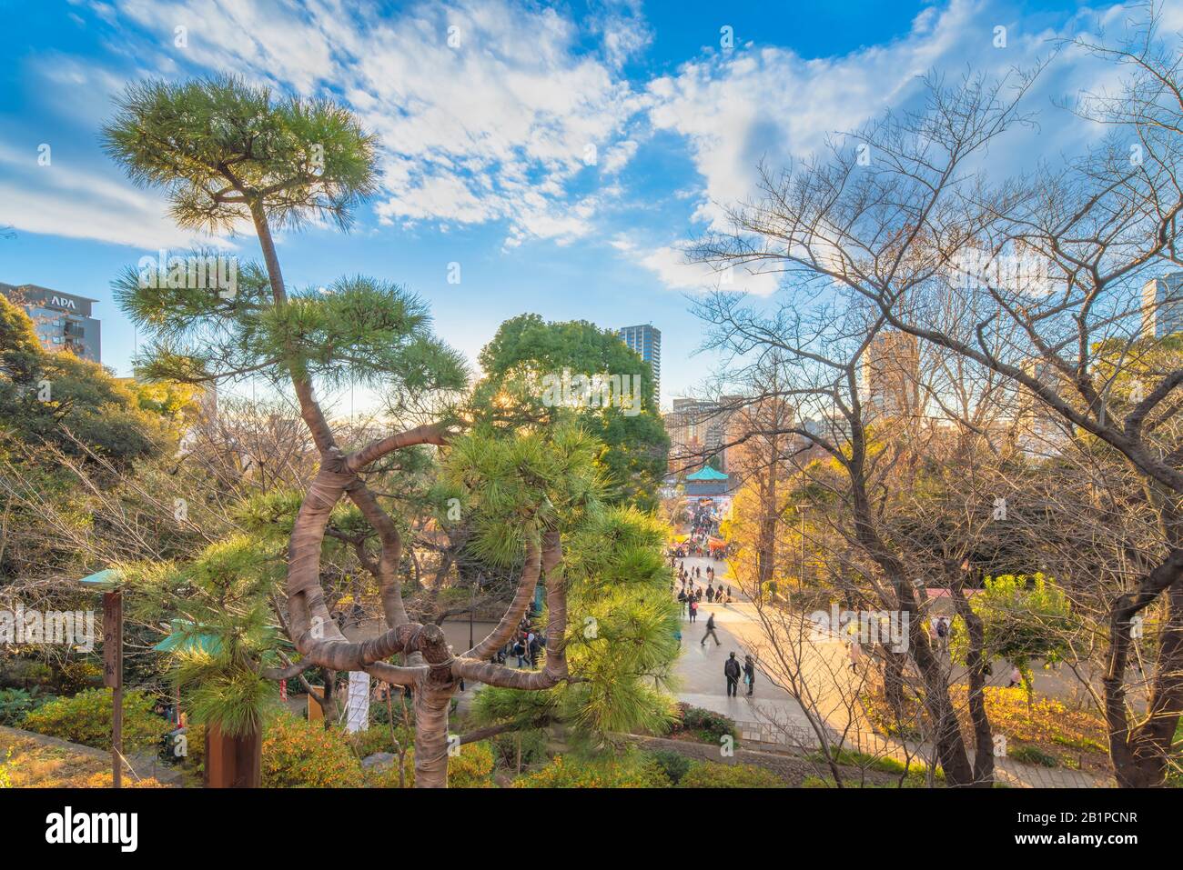 Ueno, japan - 02. januar 2020: Japanische Pinienband mit Burlap, die sie in einen Kreis bindet, der den Mond in der Kiyomizu Kannon Halle des Ueno Parks beschwört, Stockfoto