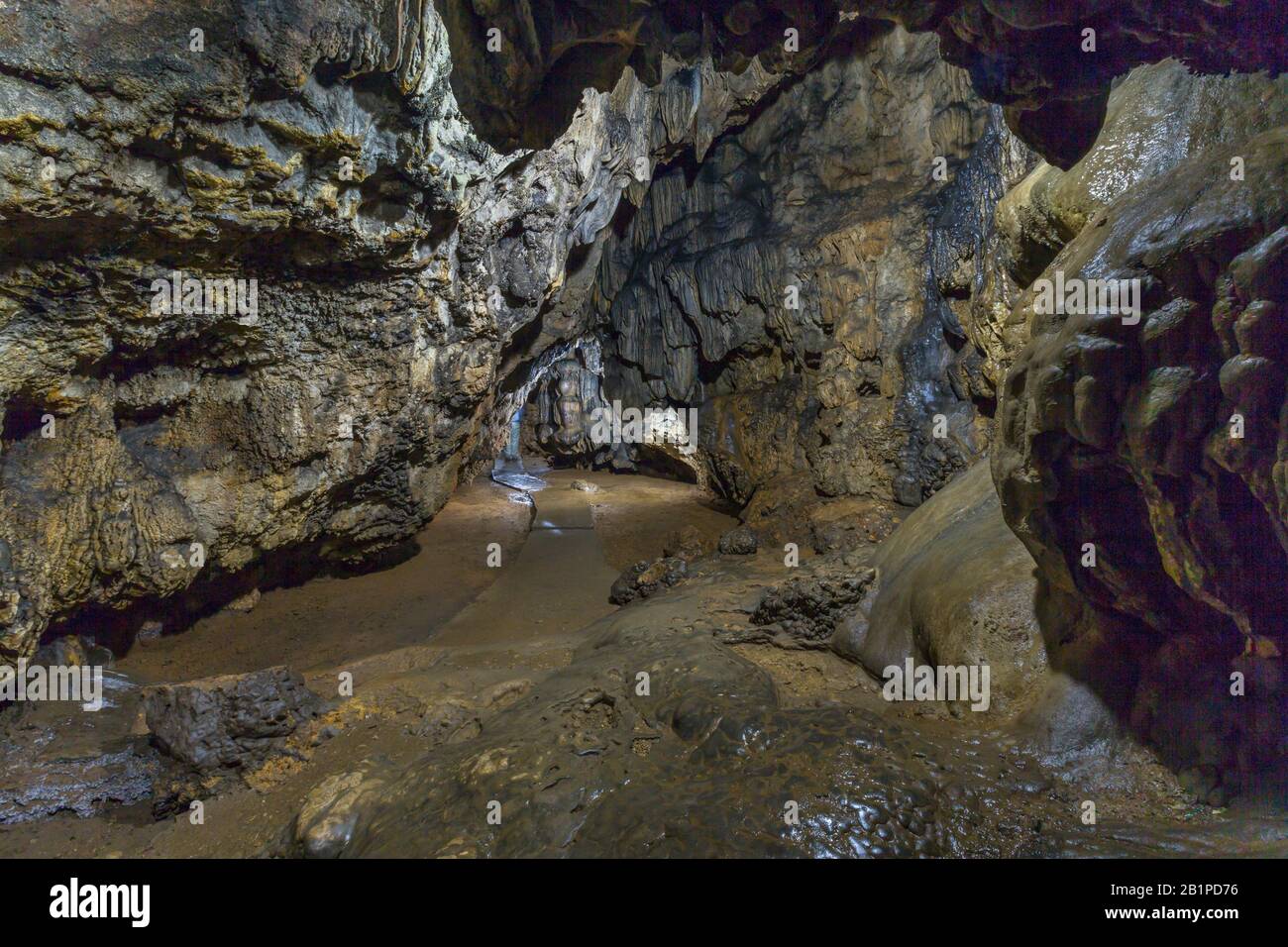 Mawsmai Cave Interior, Schöne Brücke über den Bach, Meghalaya, Indien Stockfoto