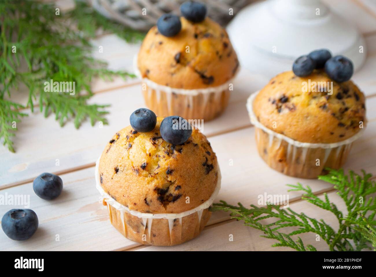 Blaubeeren Muffins oder Cupcakes auf Holzstruktur, in der Nähe Stockfoto