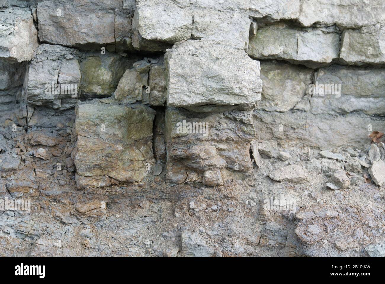 Kalksteinschichten und Risse im sedimentären Gestein können als Hintergrund oder Textur verwendet werden. Risse und Schichten aus Sandstein in baltischen Ländern, Estland Stockfoto