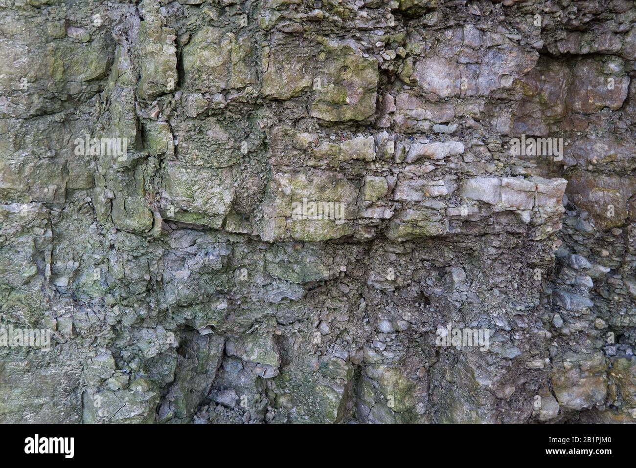 Kalksteinschichten und Risse im sedimentären Gestein können als Hintergrund oder Textur verwendet werden. Risse und Schichten aus Sandstein in baltischen Ländern, Estland Stockfoto