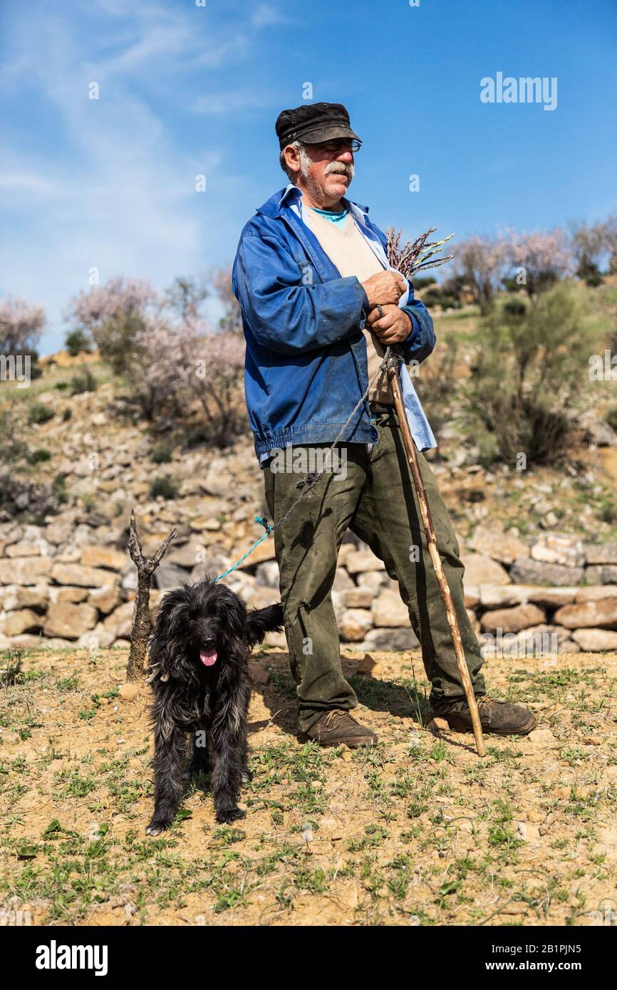 Ein Ziegenhirte steht mit seinem Hund, während er seinen Stamm von Ziegen in Andalusien, Spanien, Europa hält Stockfoto