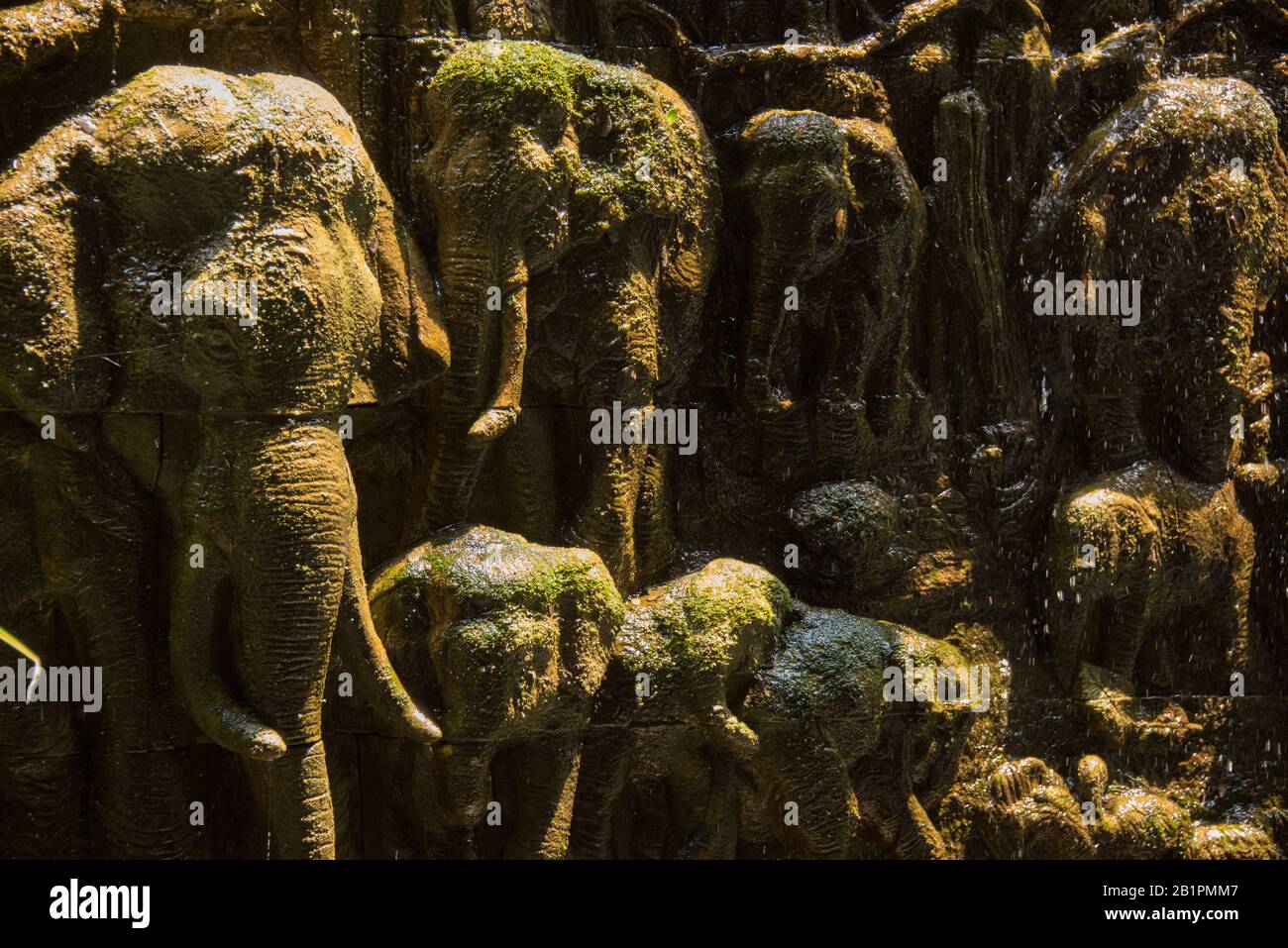 Asien, Thailand, Chiang Mai, Maetaeng Elephant Park Stockfoto