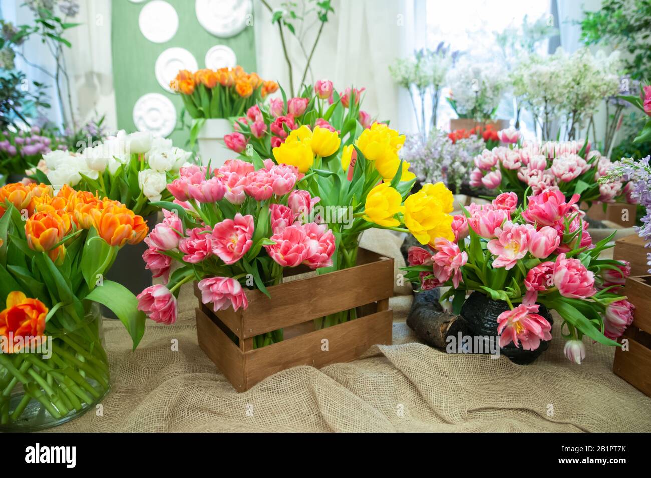 Blumengeschäft, Verkauf von Blumen. Schöne blühende Komposition aus bunten Tulpen, Farbenfroher Tulpenfoto-Hintergrund, Stockfoto
