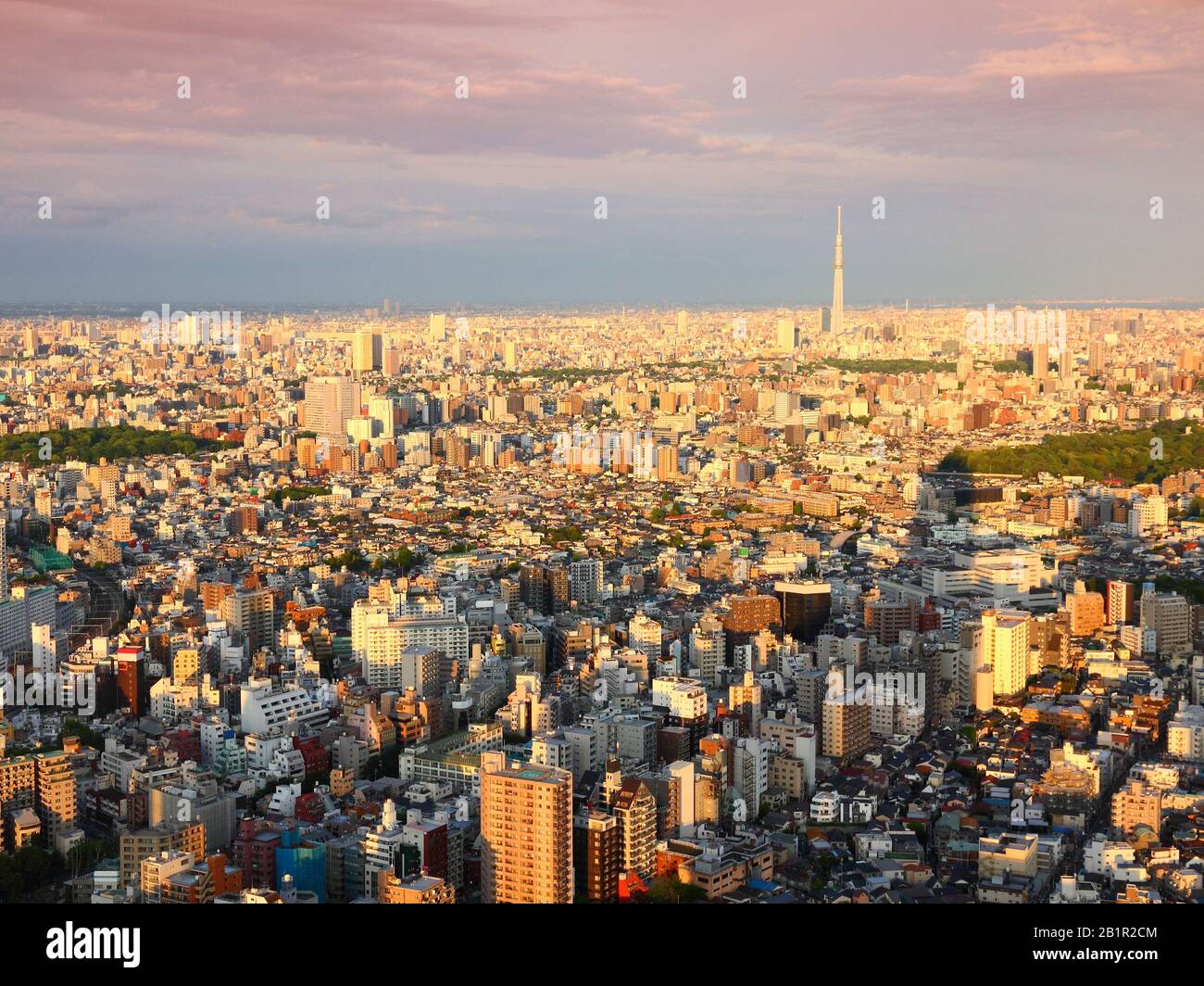 Tokyo Luftbild - Skyline der Stadt mit Bunkyo und Taito Wards. Licht bei Sonnenuntergang. Stockfoto