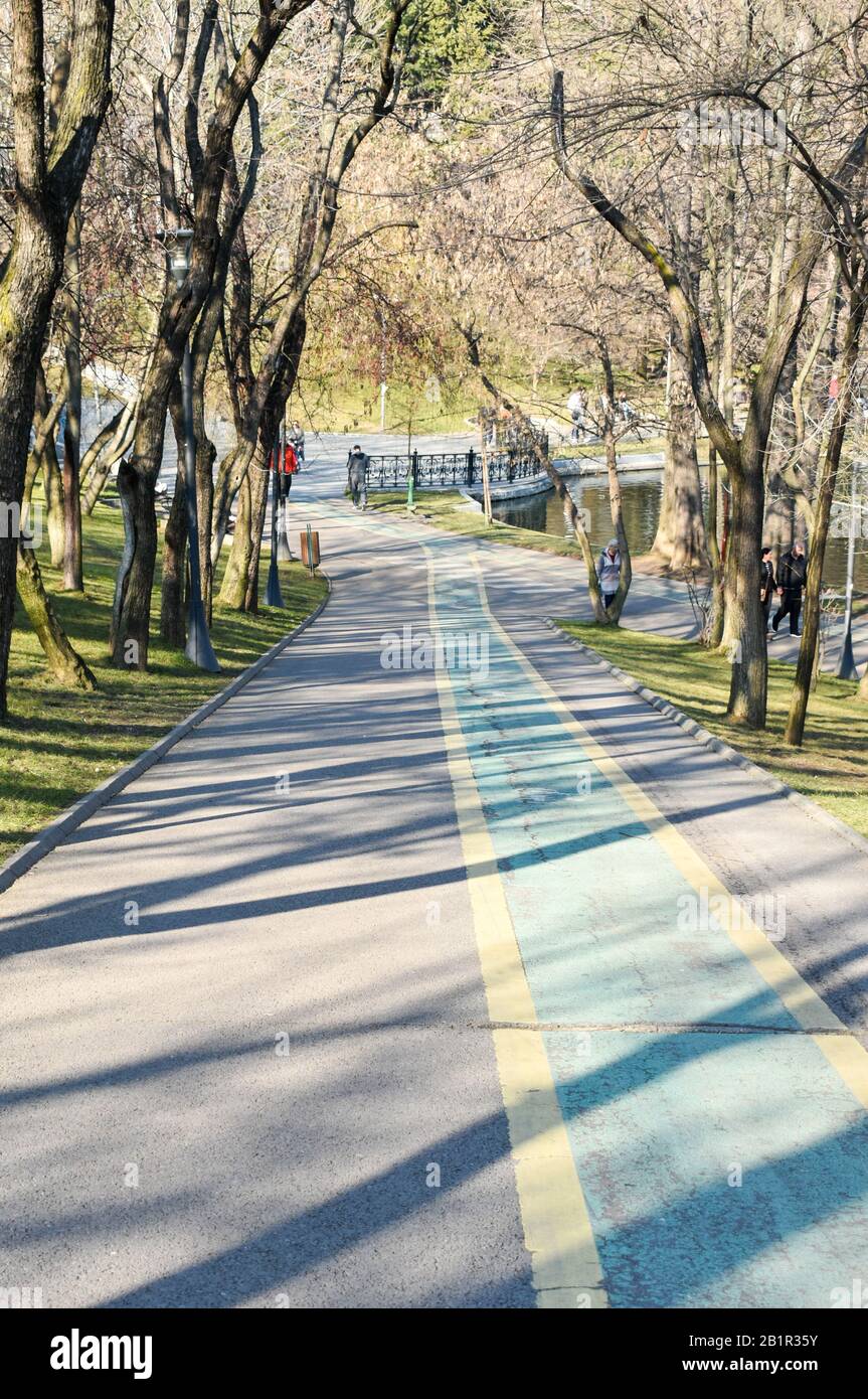 Radweg auf einer Talstraße vom Alexandru Ioan Cuza Park in Bukarest.Bewegung für einen gesunden Lebensstil Stockfoto