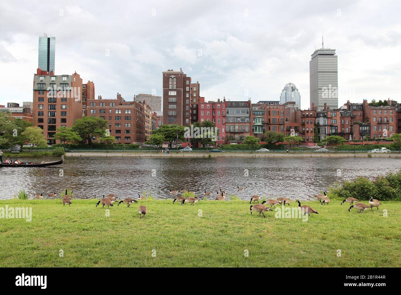 Skyline von Boston mit gänsen aus kanada von Charles River Esplanade. US-Stadt. Stockfoto