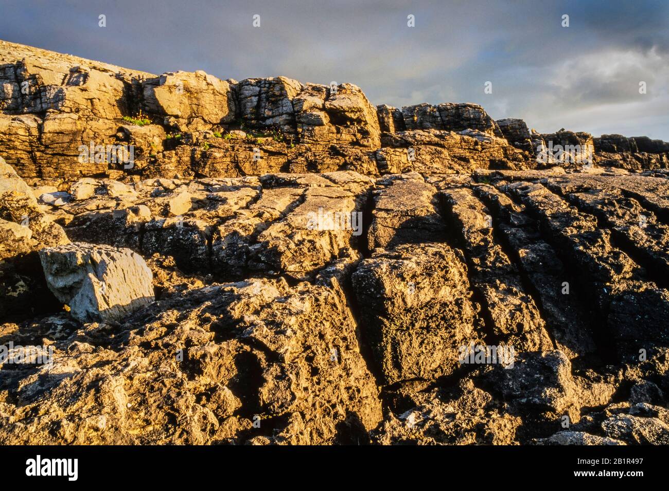 Stark verwittertes Kalksteinpflaster in der Nähe von Black Head, The Burren, County Clare, Irland Stockfoto