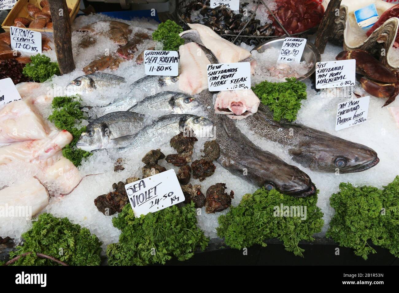 Sea Food bei London Borough Markt, Großbritannien. Stockfoto