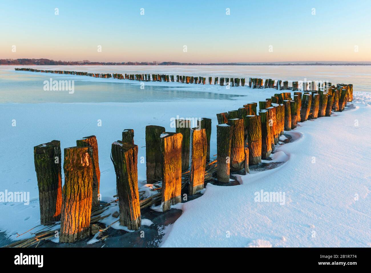 Pfosten im Duemmer See bei winterlichen Sonnenuntergang, Deutschland, Niedersachsen, Duemmerlohhausen Stockfoto