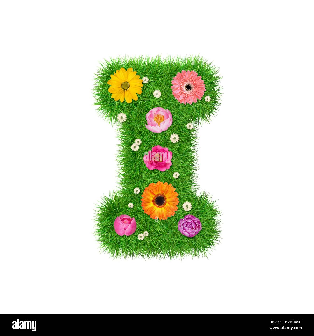 Letter NI aus Gras und bunten Blumen, Federkonzept für grafische Gestaltung Collage. Stockfoto