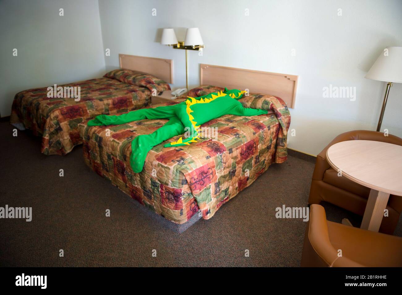 Müde Lounge-Echse, die mit farbenfrohem Bettüberwurf mit dem Gesicht nach unten auf dem Bett liegt Stockfoto