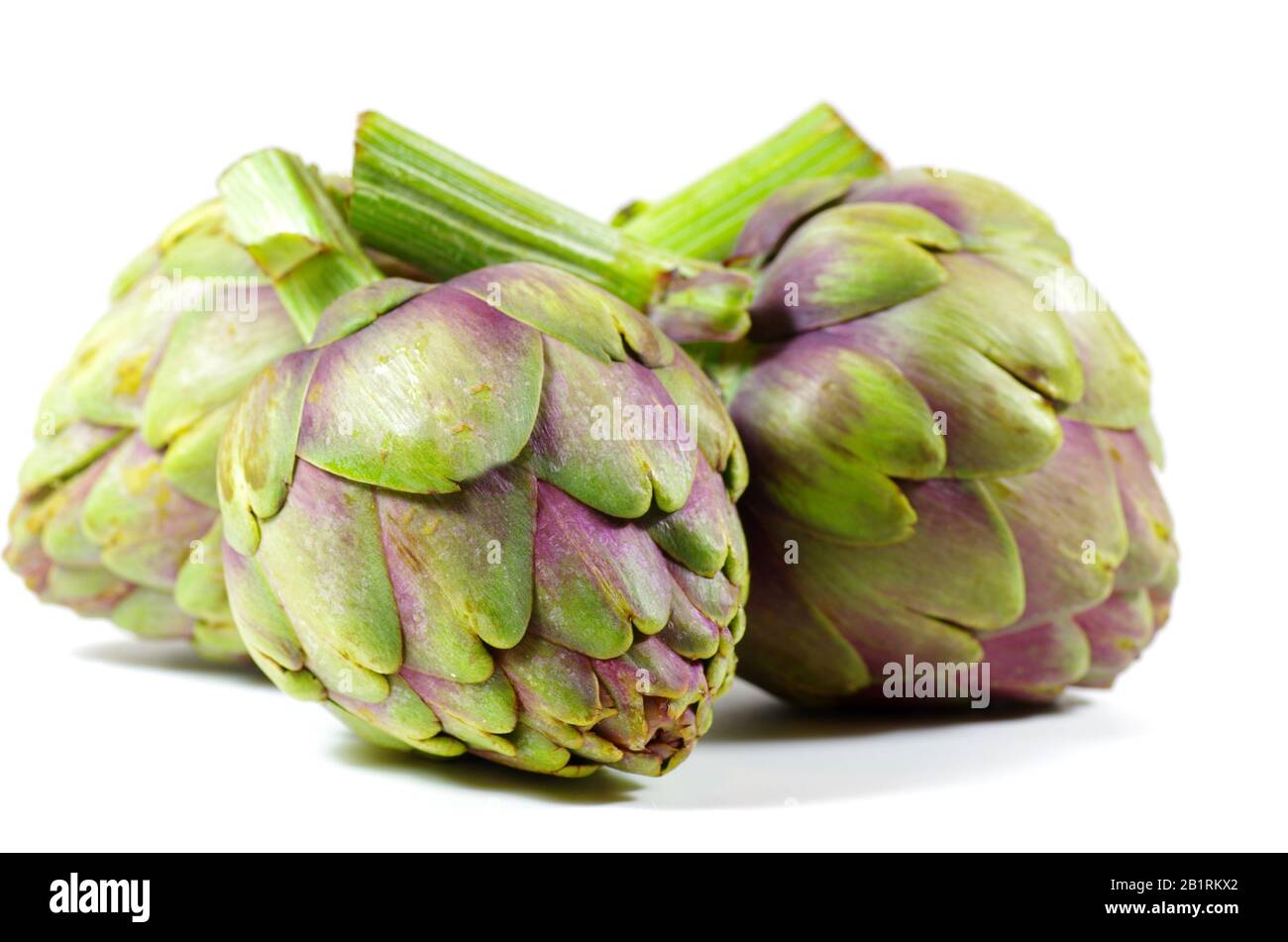 Frisch geerntete Artischocken isoliert Gemüse Hintergrund Stockfoto
