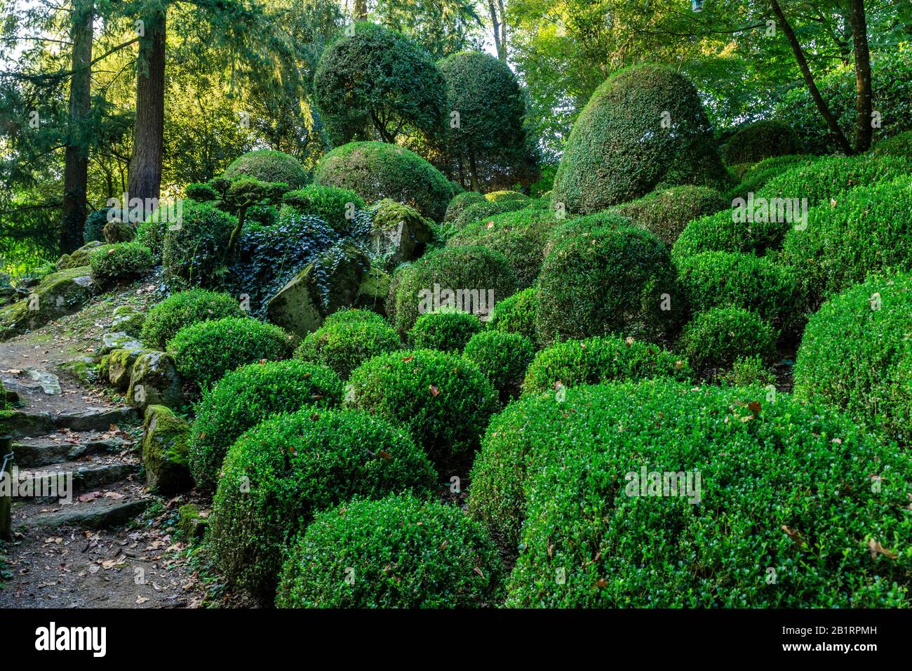 Frankreich, Maine et Loire, Maulevrier, Parc Oriental de Maulevrier, Meditationshügel mit immergrünen Sträuchern // Frankreich, Maine-et-Loiré (49), Maulévrier, Stockfoto