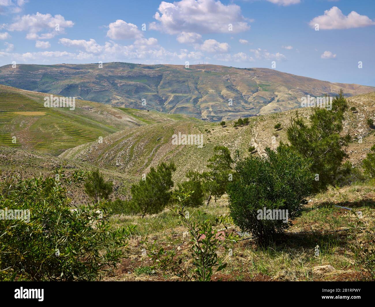 Landschaft am Berg Nebo, Jordanien, Naher Osten, Stockfoto