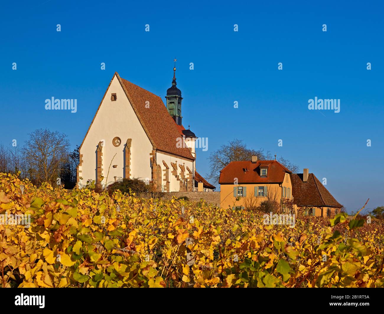 Kirche Maria im Weingarten bei Volkach am Main, Unterfranken, Bayern, Deutschland Stockfoto