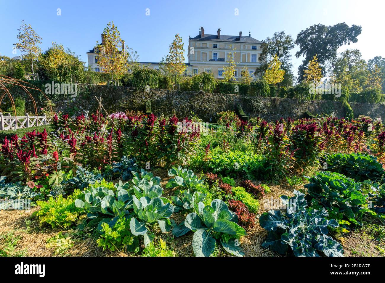 Frankreich, Maine et Loire, Maulevrier, der Küchengarten des Schlosses Colbert // Frankreich, Maine-et-Loire (49), Maulévrier, potager du château Colbert Stockfoto