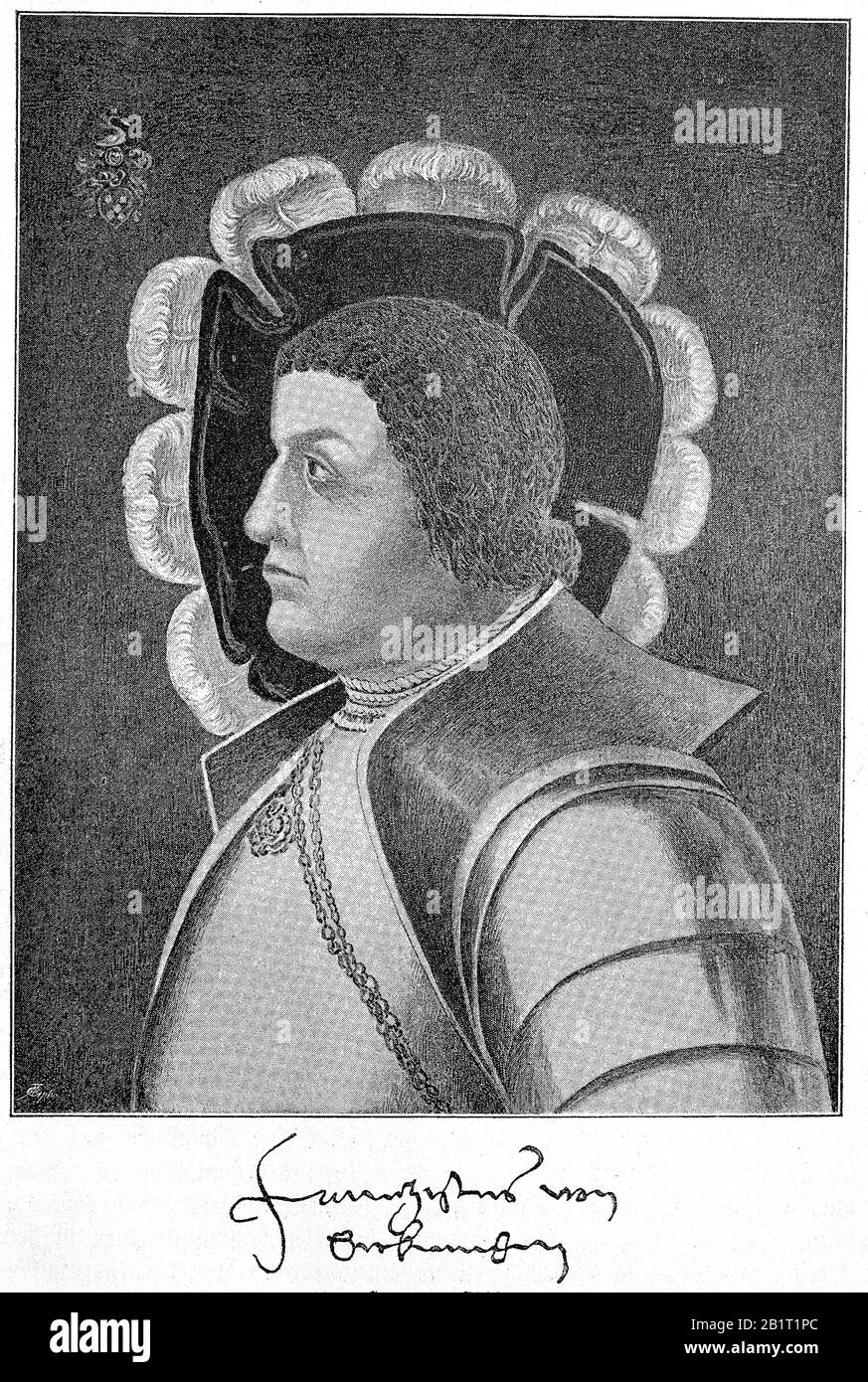 Franz von Sickingen oder Franz von Sickingen, 2. März 1481 - 7. Mai 1523, war ein deutscher Ritter / Franz von Sickingen oder Franz von Sickingen, 2. März 1481 - 7. Mai 1523, war ein deutscher Ritter, historisch, digital verbesserte Wiedergabe eines Originals aus dem 19. Jahrhundert / Digitale Produktion einer Originalanlage aus dem 19. Jahrhunderts Stockfoto