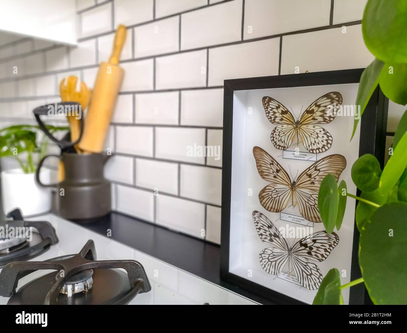 Schöne schwarz-weiß gerahmte Schmetterlinge in einer schwarz-weißen Küche mit U-Bahn-Fliesen Stockfoto