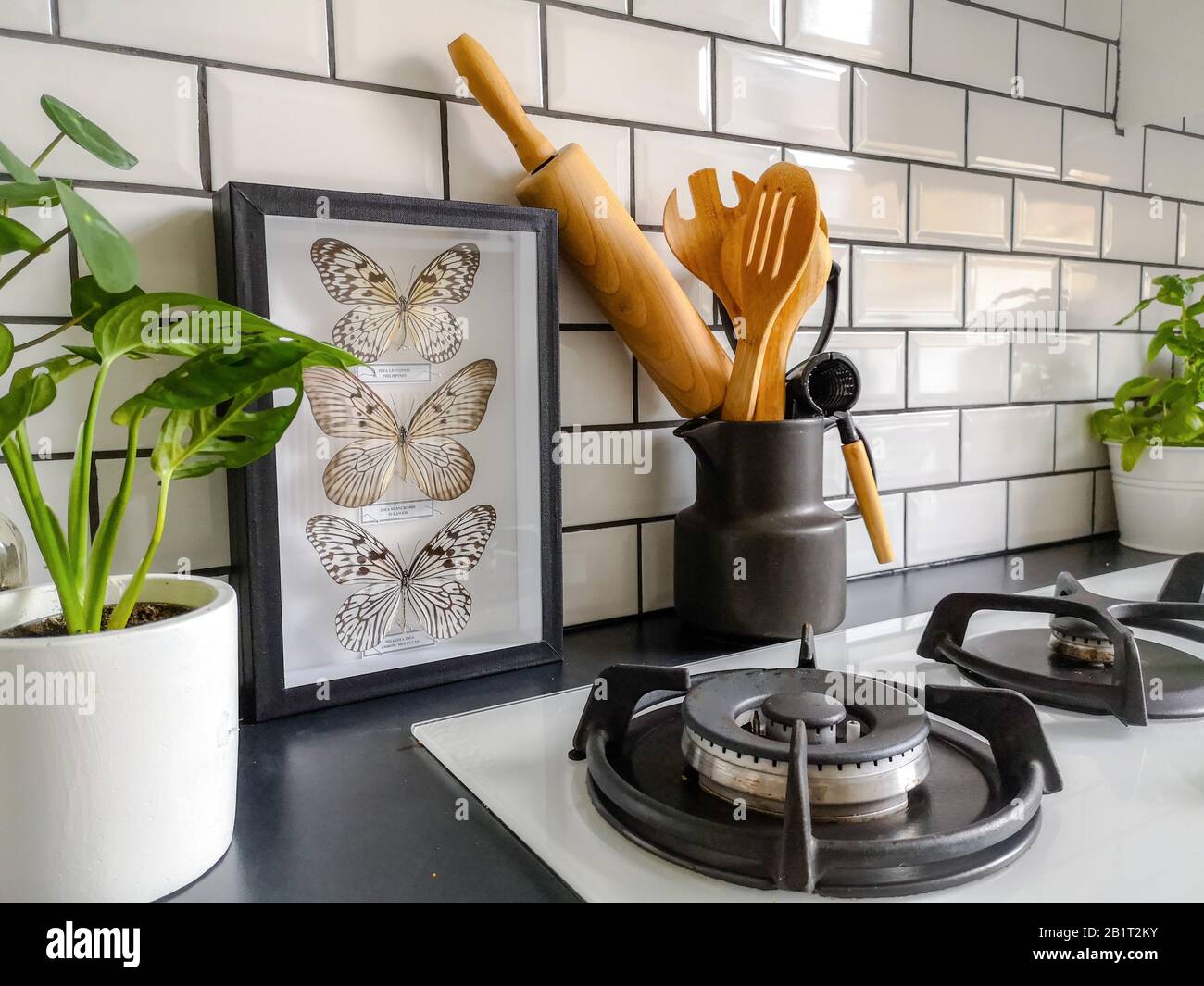 Gerahmte taxidermy Schmetterlinge Kunst in einer schwarz-weißen U-Bahn gekachelt Küche mit zahlreichen Pflanzen Stockfoto