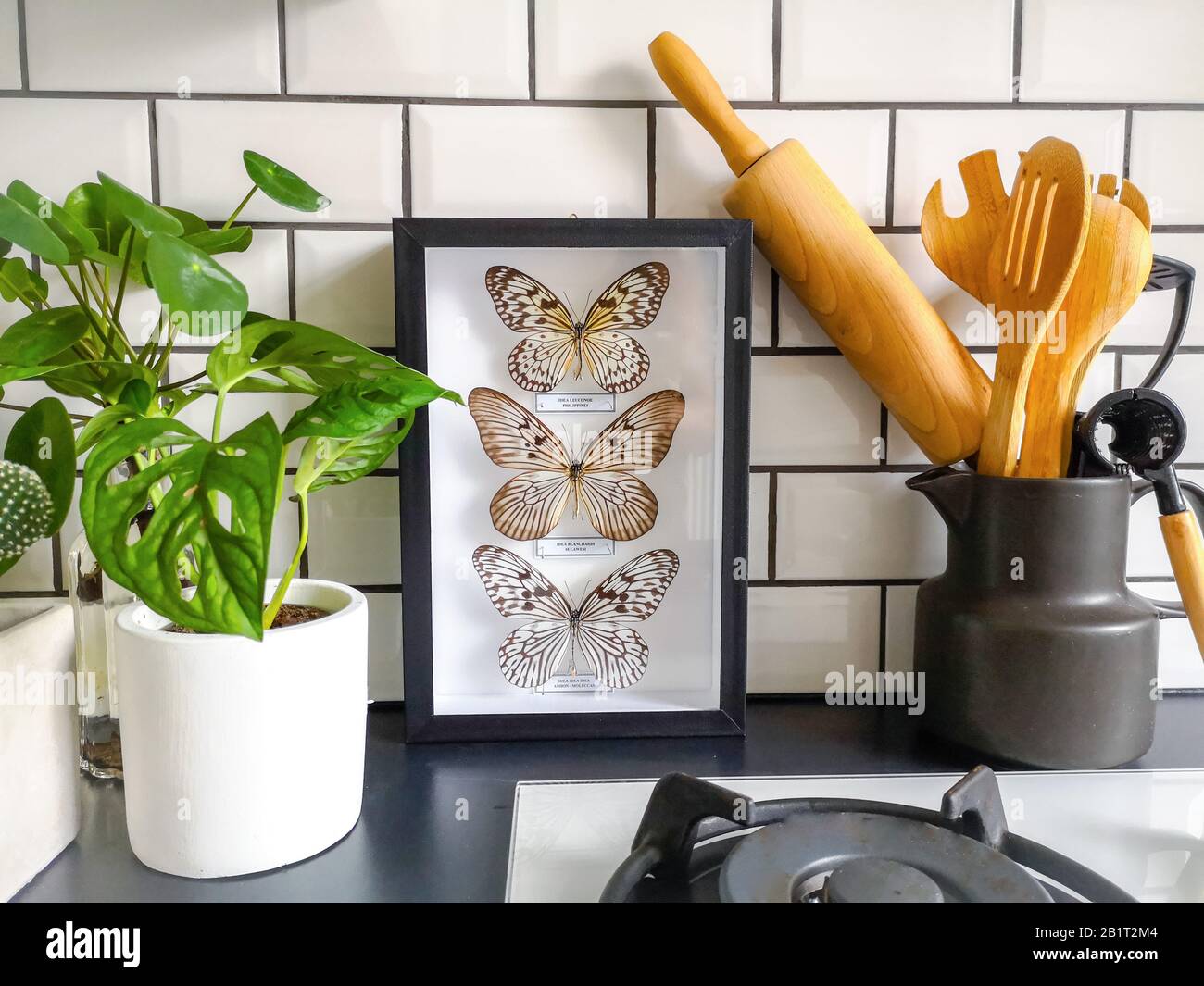 Gerahmte Schmetterlinge Taxidermy Display In Einer Schwarz Weissen U Bahn Gefliesten Kuche Mit Zahlreichen Pflanzen Und Holzkochutensilien Stockfotografie Alamy