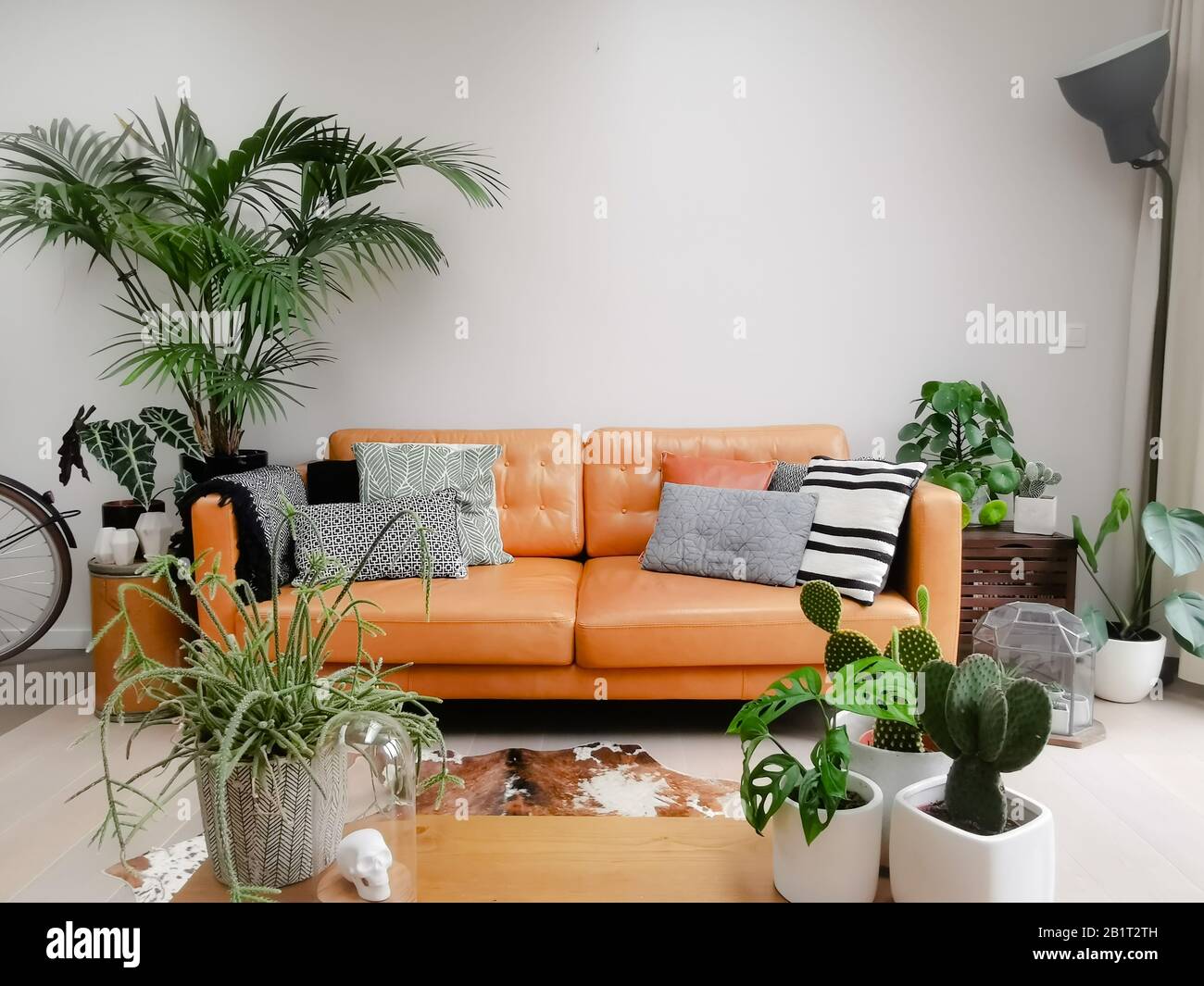 Helles, modernes Wohnzimmer mit brauner Ledercouch, Rindslederdecke und zahlreichen grünen Zimmerpflanzen, die einen urbanen Dschungel erschaffen Stockfoto