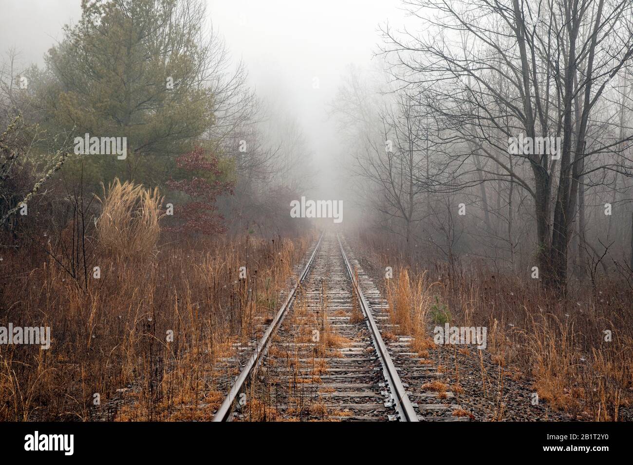 Verlassene Bahngleise, die an einem nebligen Morgen in Penrose (bei Brevard), North Carolina, USA in Wald führen Stockfoto