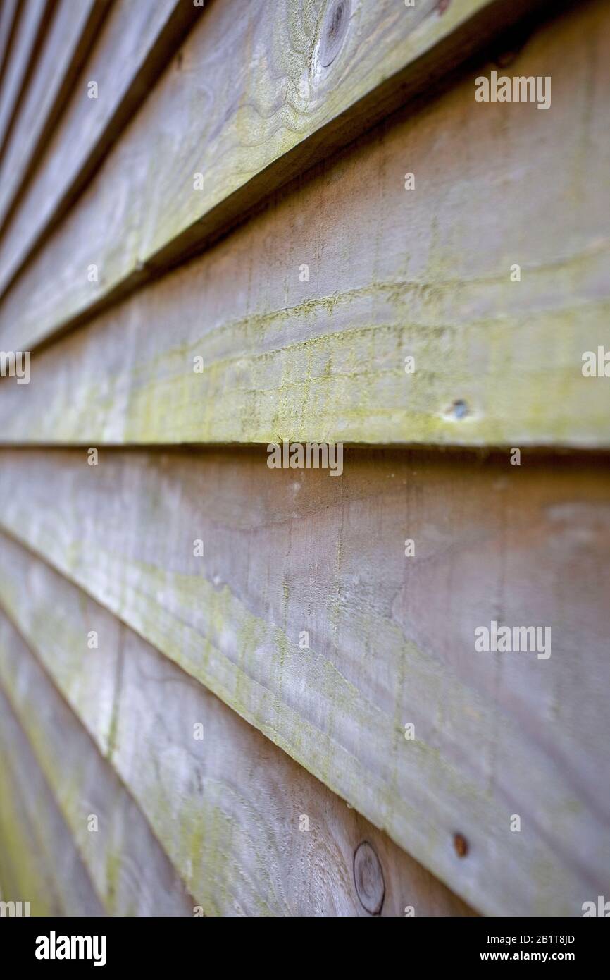 FeatherEdge Holzbretter schließen sich an Stockfoto