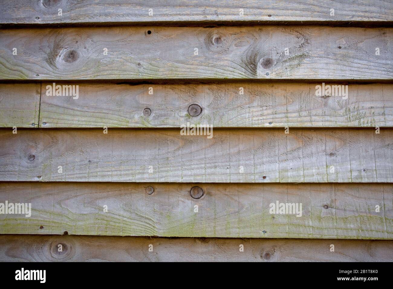 Featheredge Bretter an der Seite der Scheune. Oxfordshire England Stockfoto