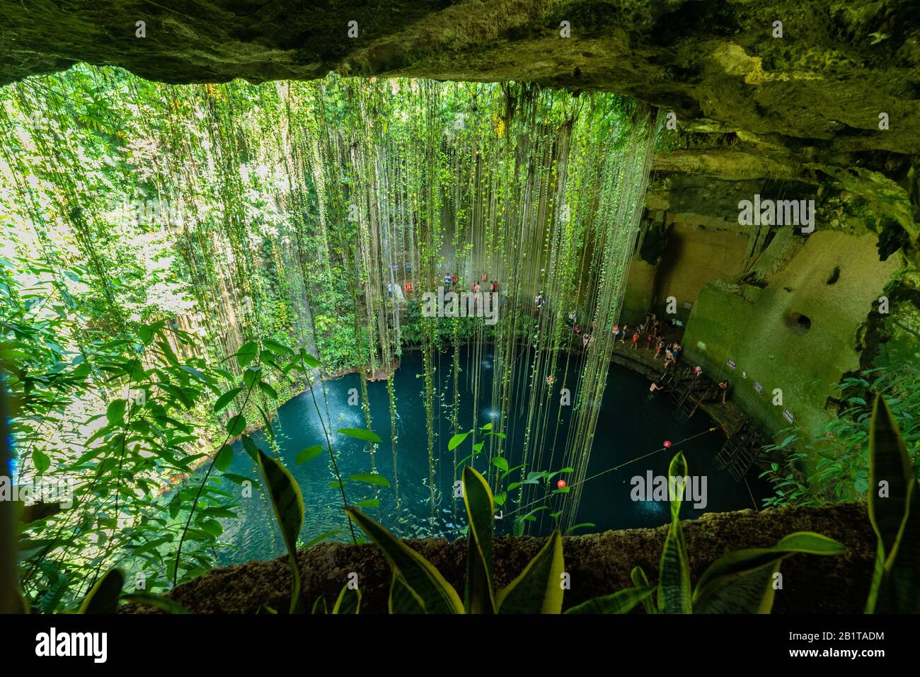 Yucatan berühmtester Cenote Ik Kil Mexiko Nordamerika Stockfoto