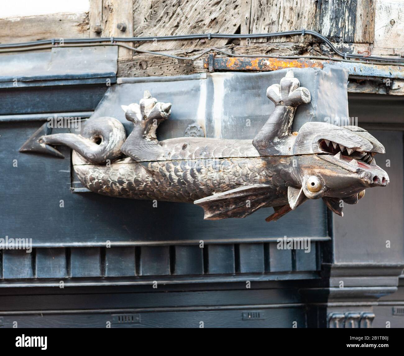 Der Mardol Dragon, ein geschnitzter Holzdrache, hängt auf dem Kopf an einem Gebäude im historischen Shrewsbury, Shropshire, England Stockfoto