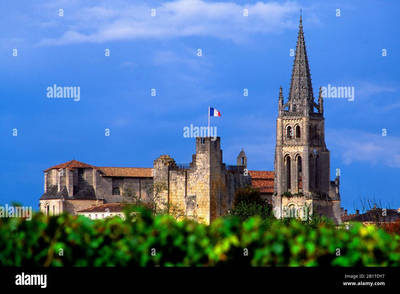 Dorf und Weinberg von Saint-Emilion, Gironde, Nouvelle Aquitaine, Frankreich, Europa Stockfoto