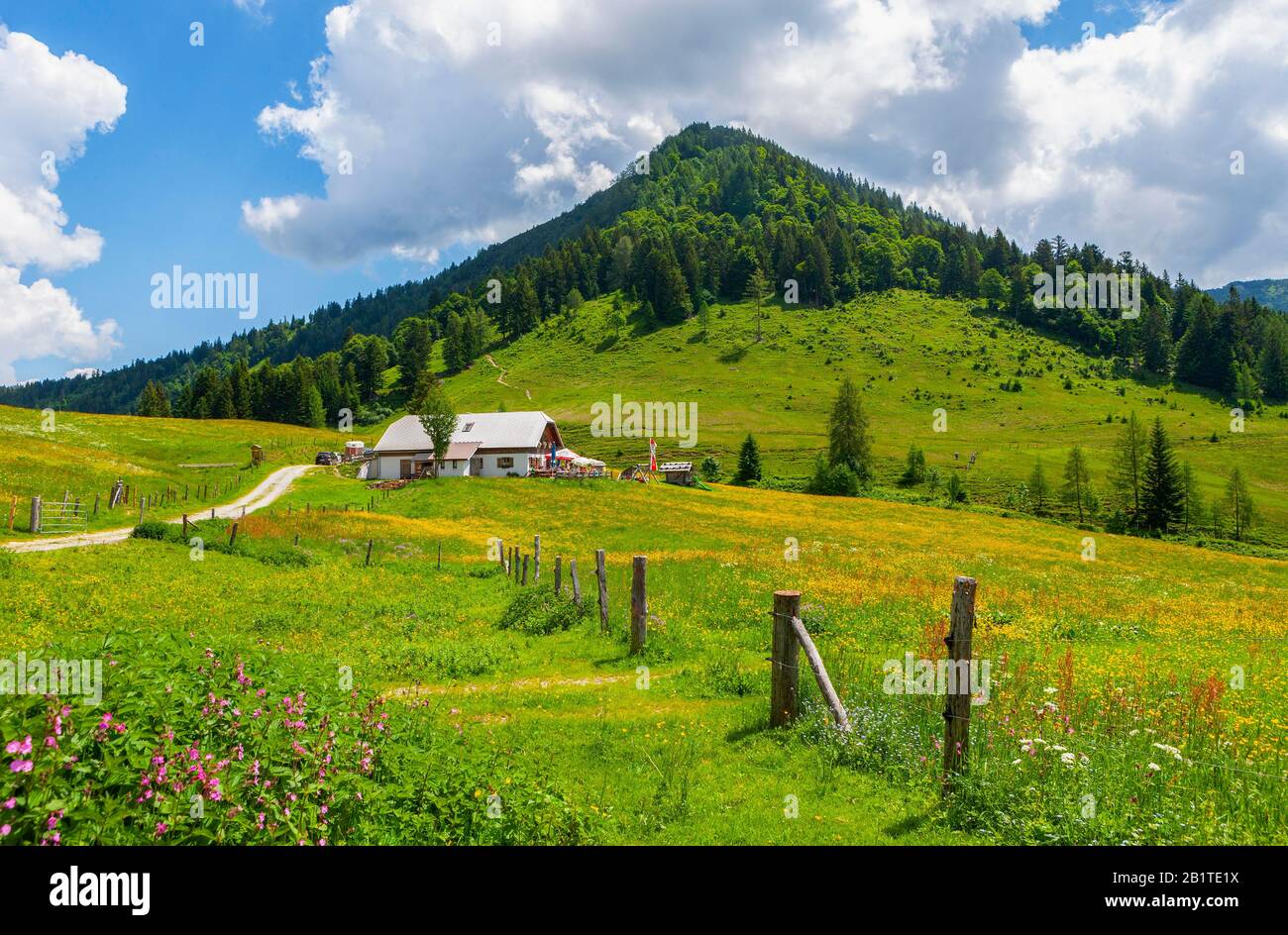 Alpenhütten am Taugelboden, Trattberg, Sankt Kolomann-Tennengau, Land Salzburg, Österreich Stockfoto
