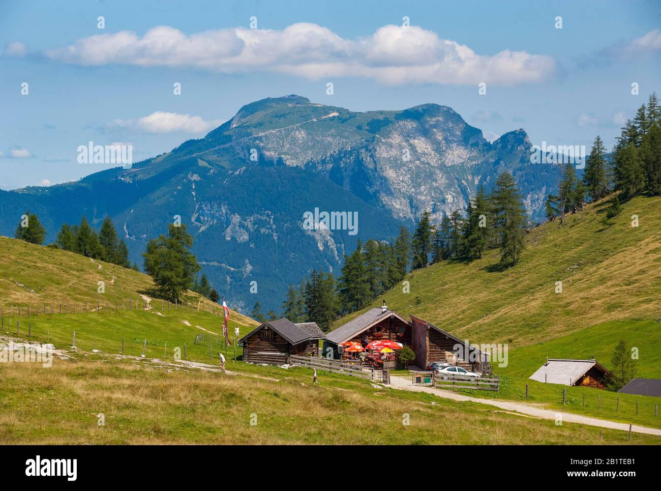 Alpenlandschaft, Erlbachhuette mit Schafberg, Postalm, Salzkammergut, Land Salzburg, Österreich Stockfoto