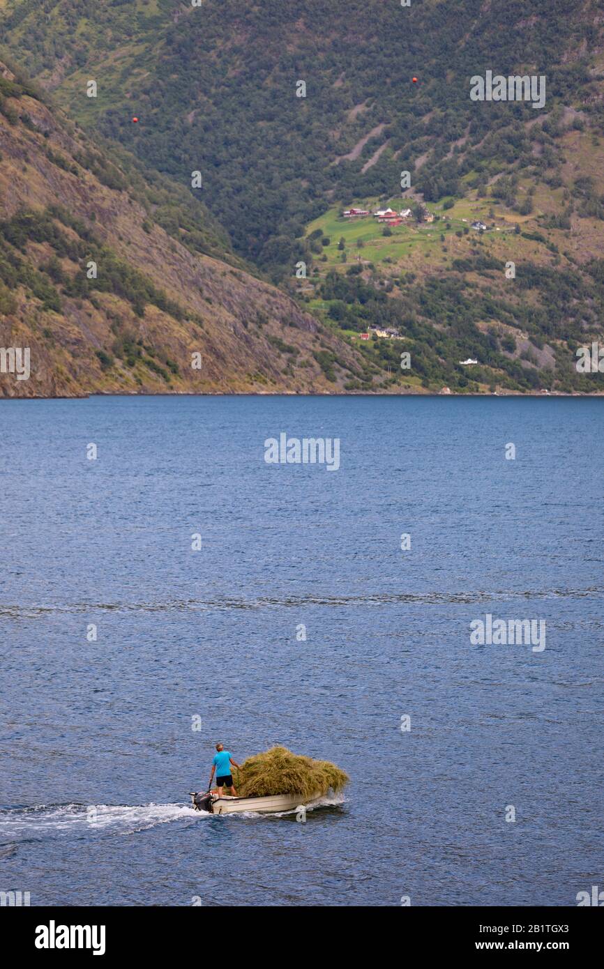 Undredal, NORWEGEN - Kleines Boot mit Heuernte, Kleinstlandwirtschaft, auf dem Aurlandsfjorden, einem Fjord im Vestland County. Stockfoto