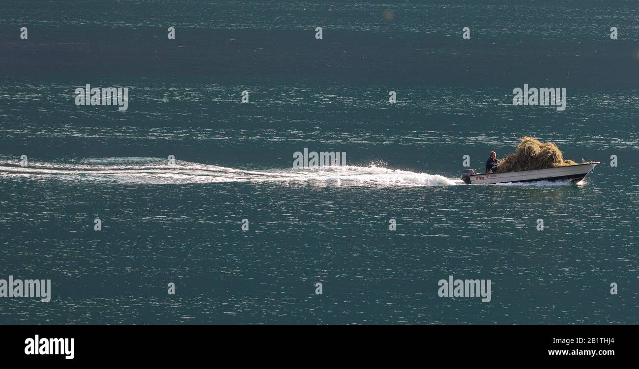 Undredal, NORWEGEN - Kleines Boot, das mit Heuernte zurückkehrt, auf dem Aurlandsfjorden, einem Fjord im Vestland County. Stockfoto