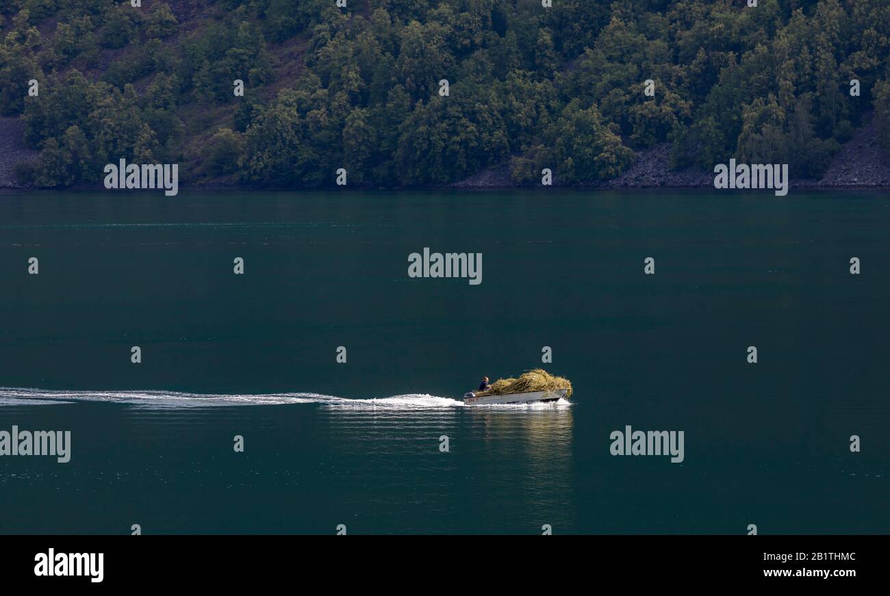 Undredal, NORWEGEN - Kleines Boot, das mit Heuernte zurückkehrt, auf dem Aurlandsfjorden, einem Fjord im Vestland County. Stockfoto