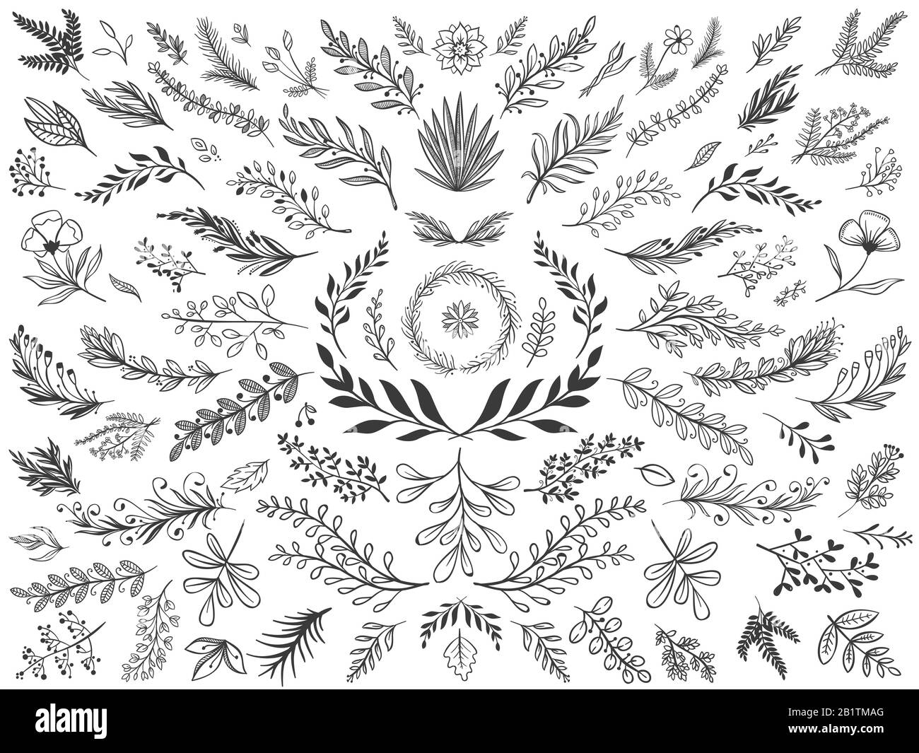 Handgezeichnete Blätter mit Blumendekor. Skizze Zierzweige, dekorative Blätter und Blumen Vektor-Illustration Set Stock Vektor