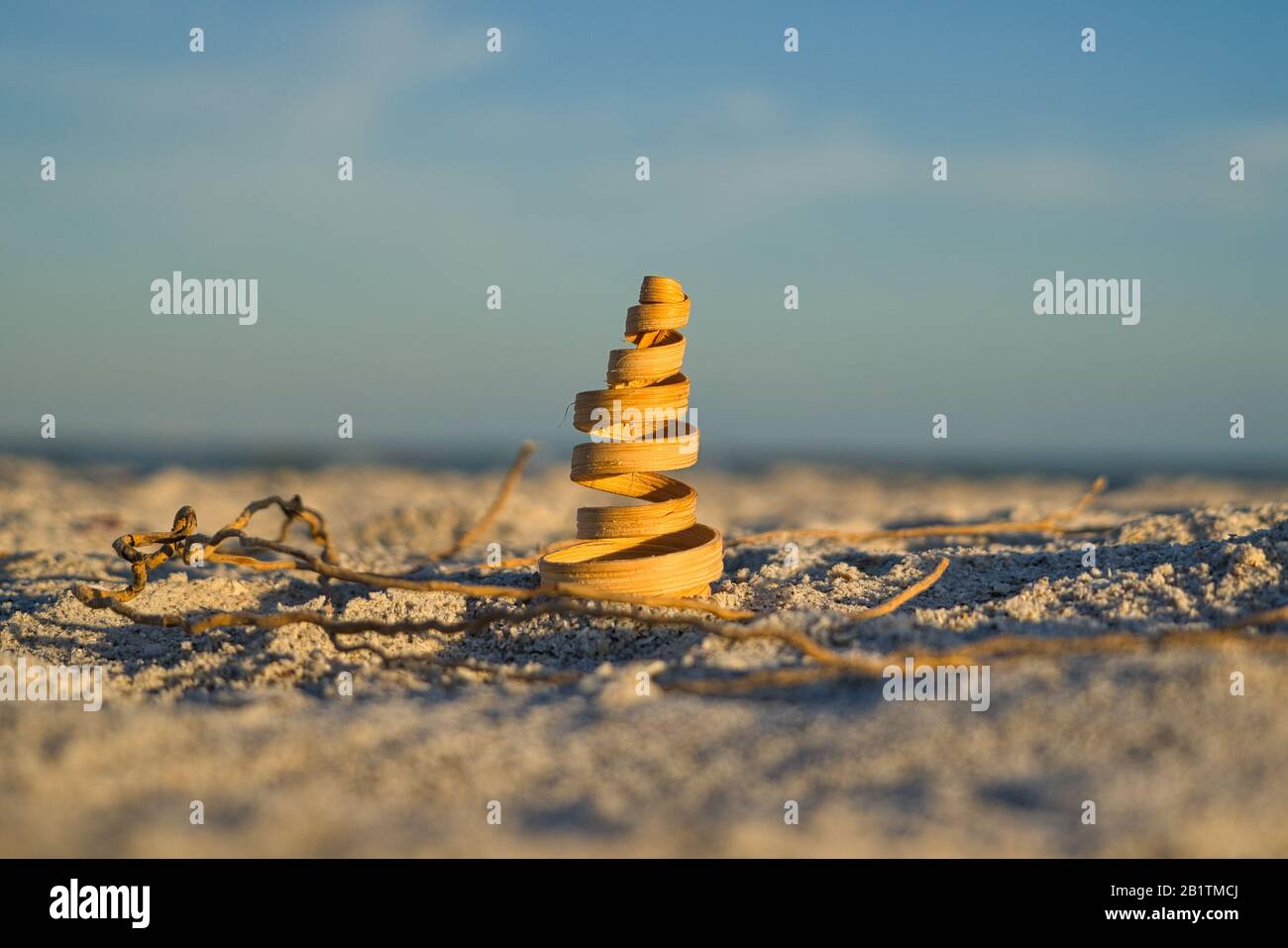 Nahaufnahme einer dekorativen Holzspirale am Strand auf der Insel Sanibel Stockfoto