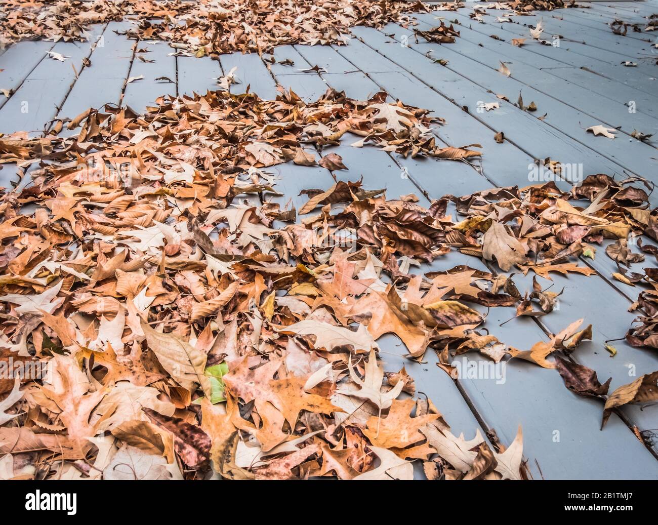 Der Herbst geht auf der Holzveranda in einem Haus am See in Tennessee auf dem Denson Landing Cemetery, Tennessee, auf. Stockfoto