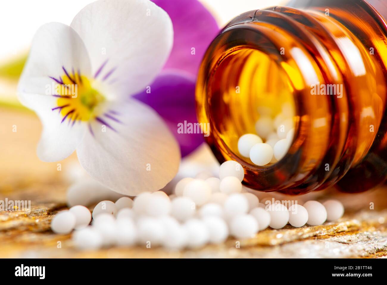 Alternative Medizin mit pflanzlichen und homöopathischen Pillen Stockfoto