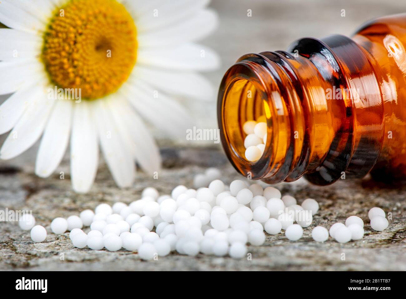 Alternative Medizin mit pflanzlichen und homöopathischen Pillen Stockfoto