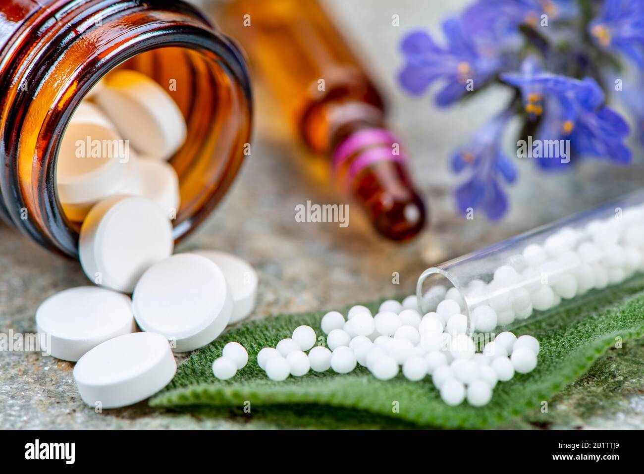 Alternative Medizin mit pflanzlichen und homöopathischen Pillen Stockfoto